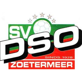 sv DSO VR1 logo